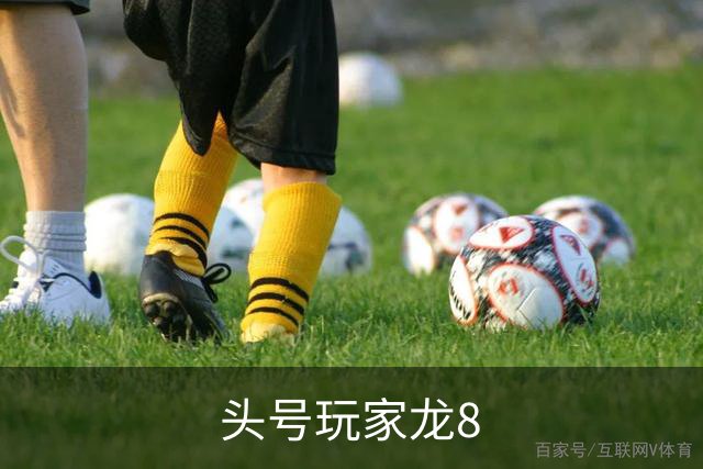 头号玩家龙8平台介绍图片